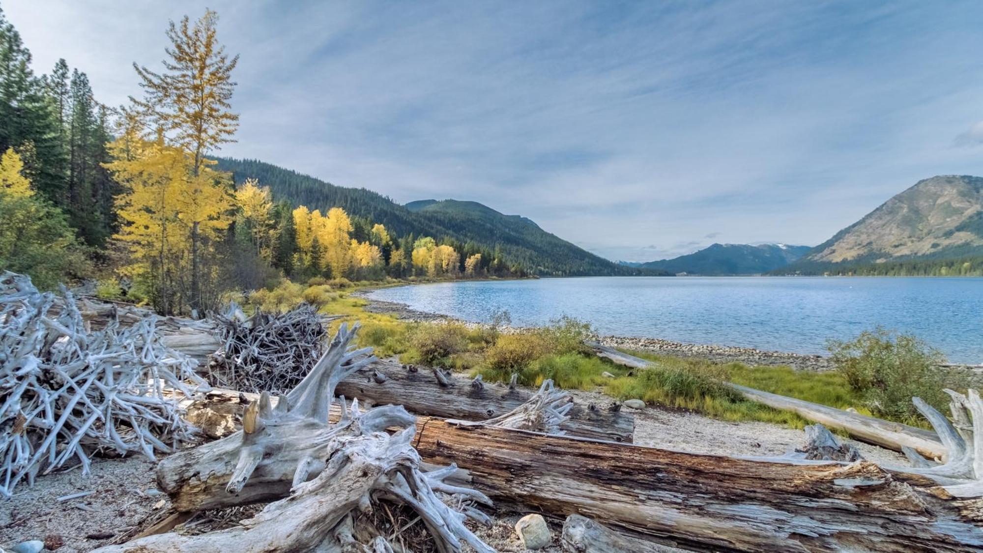 Nature Acres By Nw Comfy Cabins Leavenworth Bagian luar foto